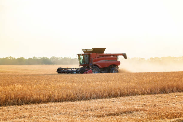 istock Combine harvester in a wheat field on a sunny summer day 1186330186