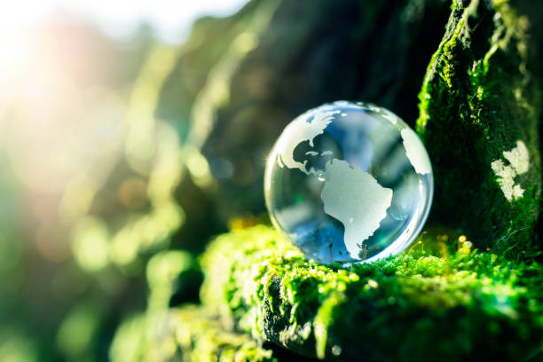 Renewable energy and sustainable development Glass globe in the in nature concept for environment and conservation refraction photos stock pictures, royalty-free photos & images