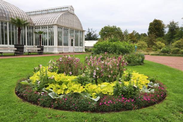 istock Gothenburg Botanical Garden 1186333002