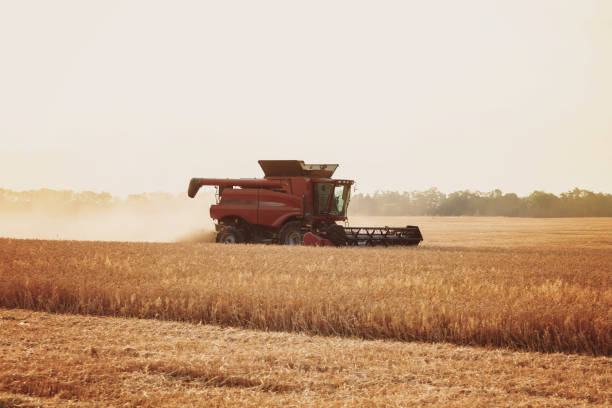 istock Combine harvester in a wheat field on a sunny summer day 1186334683
