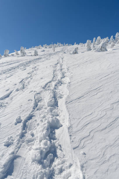 istock The snow covered trees in Mt.Nishidaiten 1186335031