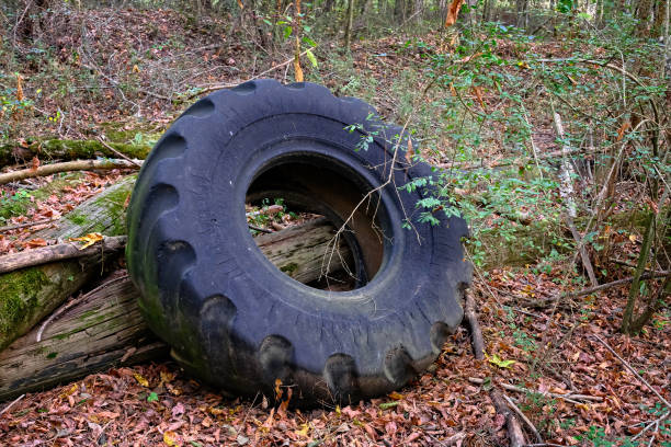istock Old Truck Tire in Forest 1186335190