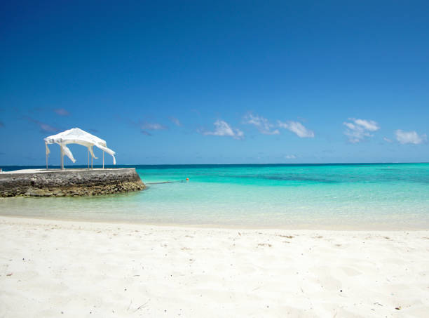 istock Maldives white sand beach with turquoise water blue sky 1186337644