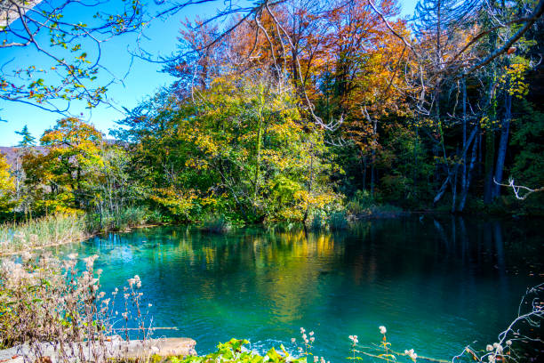 istock Autumn landscape , Croatia 1186338140