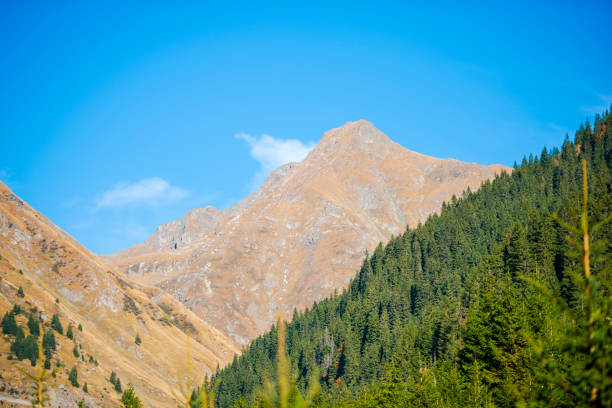 Carpathian mountains, Transfagarasan , Romania