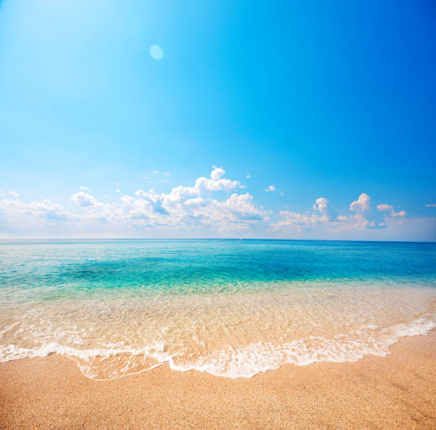 istock beautiful beach and tropical sea 1186340244