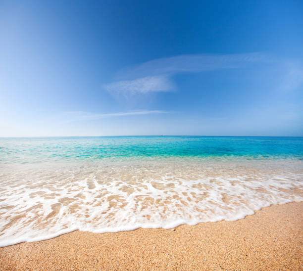 istock beautiful beach and tropical sea 1186340637