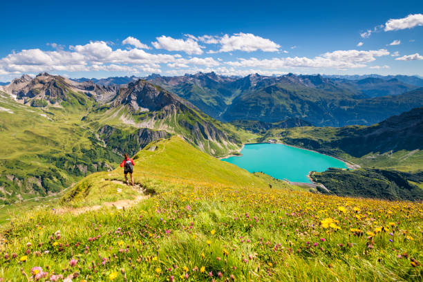 istock View to the Alps in Austria 1186340722