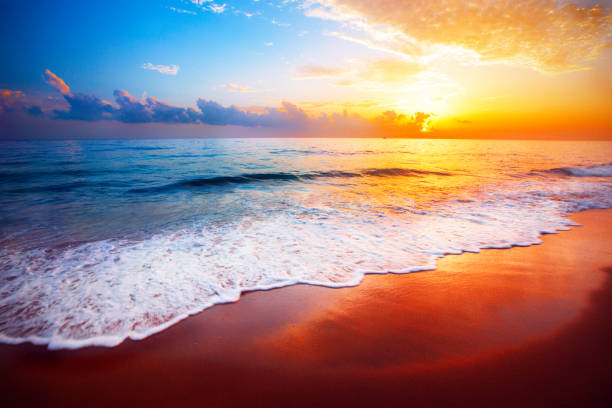 istock beautiful tropical sunset and sea 1186341581