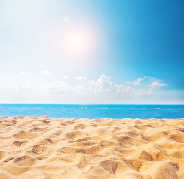istock beach and beautiful tropical sea 1186342410