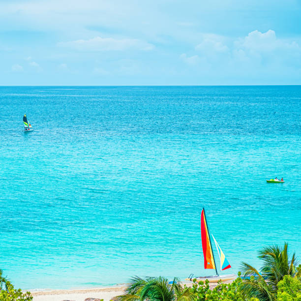 istock Beautiful ocean on a sunny day 1186343968
