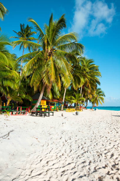 johnny cay sur le récif de l'île de san andres, colombie - andres photos et images de collection