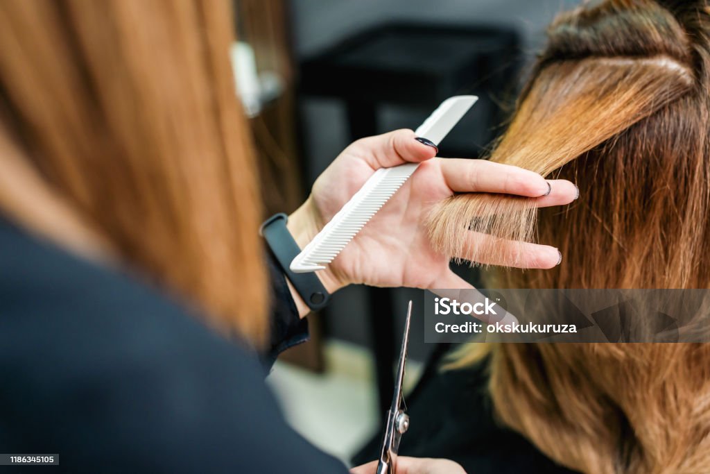 Female hairdresser is cutting woman hair close up. Female hairdresser is holding in hand between fingers a red hair is cutting woman hair close up. Hair Salon Stock Photo