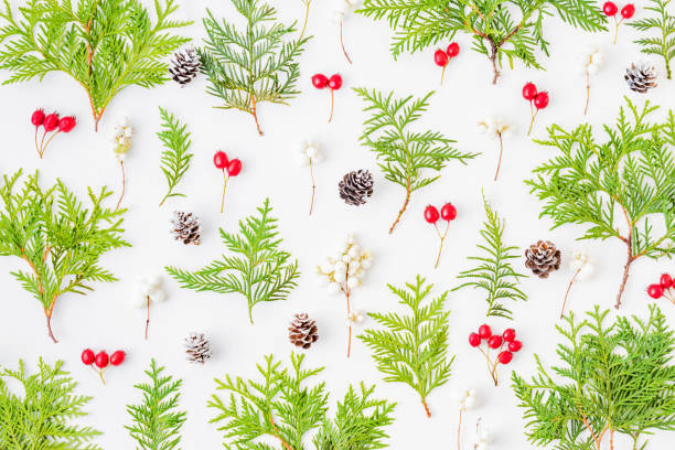 istock Flat lay christmas pattern with evergreen tree branch and berries on a white background 1186348299