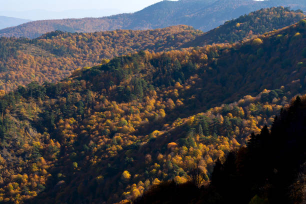 istock Autumn at Seven Lakes 1186350351