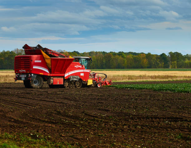 raccoglitrice di barbabietole rosse della produzione tedesca al lavoro e raccolta sul campo - beet sugar tractor field foto e immagini stock