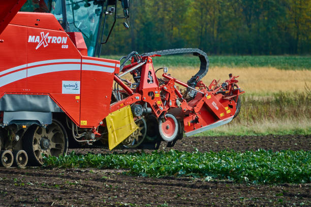 仕事でドイツの生産から赤いビートの収穫とフィールド上の収穫 - beet sugar tractor field ストックフォトと画像