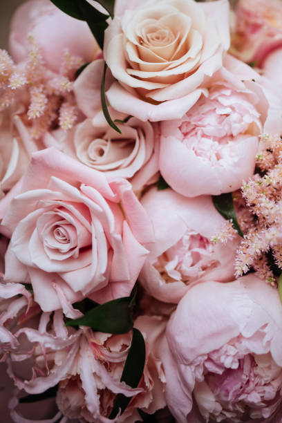 istock Fluffy pink peonies flowers background 1186352821