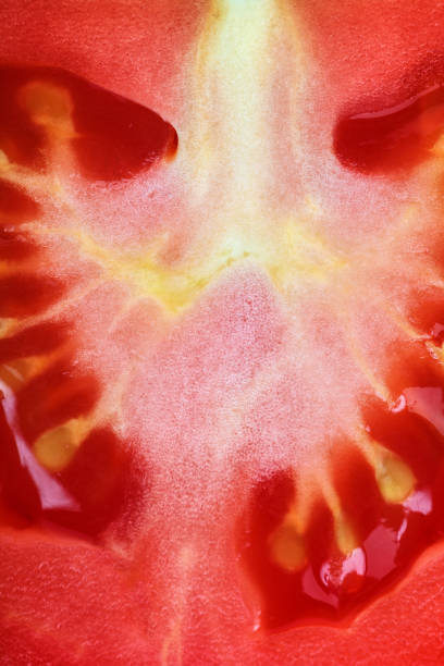 istock Fresh fruits of tomatoes as a background 1186352906