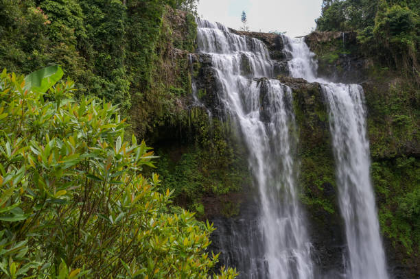 istock Tad yuang fall , A big waterfall in Jam Pha Sak,Bolaven, Laos. 1186353953