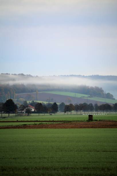 istock road in the countryside 1186354049