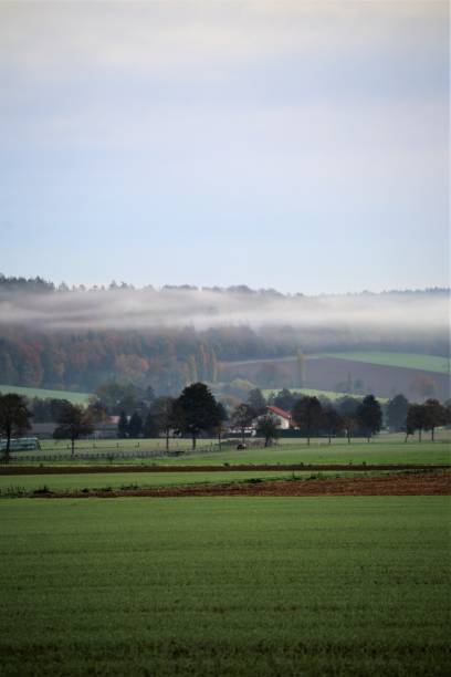 istock road in the countryside 1186354065