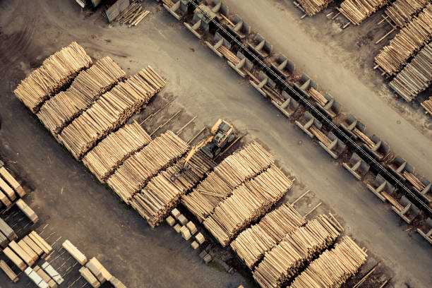 istock Aerial View of Sawmill 1186354130