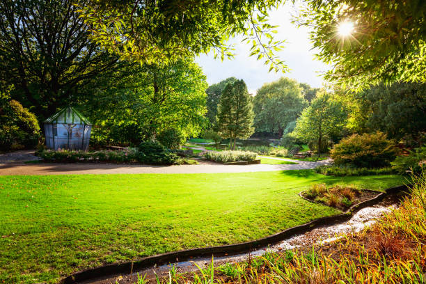 istock Autumn city park with bird aviary 1186354613