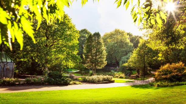 jesienny park miejski z ptasiej wolierą i jeziorem - standing water grass area meadow lawn zdjęcia i obrazy z banku zdjęć