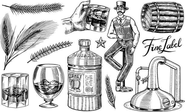 ilustrações, clipart, desenhos animados e ícones de conjunto de uísque. garrafa de vidro, barril de madeira, uísque e bourbon, trigo e centeio, homem vitoriano, brinde de saúde. símbolos americanos do vintage. bebida forte do álcool. esboço gravado à mão para o poster, emblema - whisky