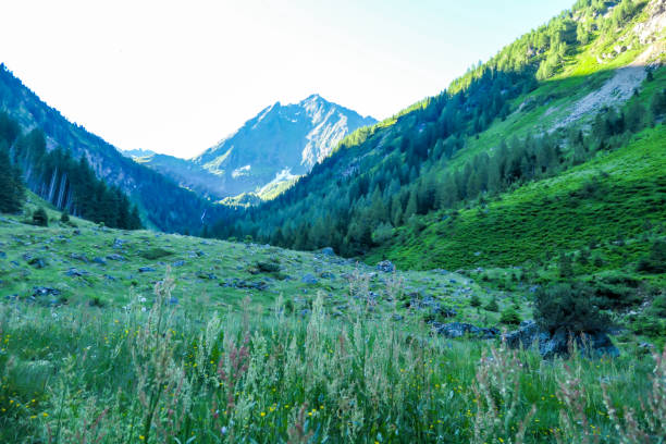 istock Schladming - Panorama of spring in Alps 1186358141