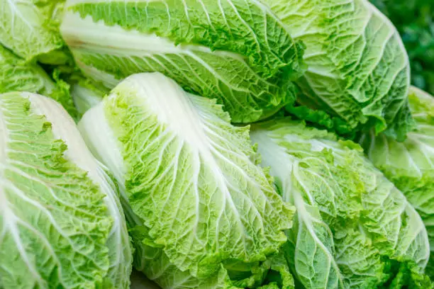 Photo of Chinese cabbages on sale in the market.