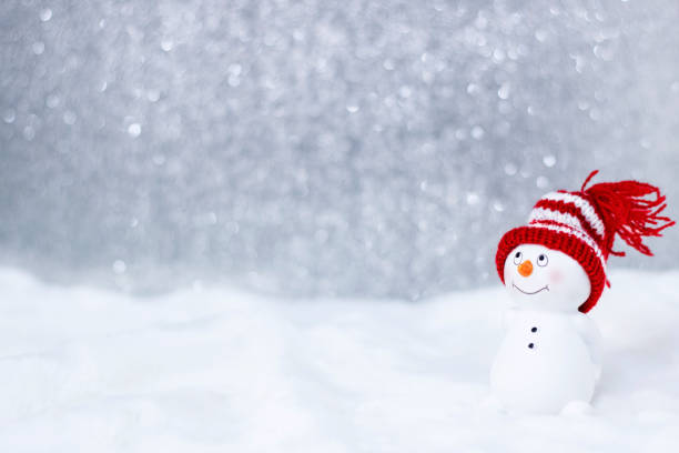 Happy snowman standing in winter christmas landscape. Merry christmas and happy new year greeting card. Funny snowman in hat on snowy background. Bokeh and highlights. Copy space for text feliz hombre de nieve de pie en el paisaje de navidad de invierno. feliz navidad y feliz tarjeta de felicitación de año nuevo. hombre de nieve divertido en sombrero sobre fondo nevado. bokeh y aspectos destacados. copiar espacio para texto