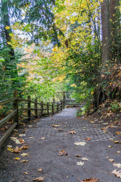 istock Tumwater Falls Park Trail 1186362652