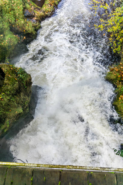 istock Tumwater Falls Park Whitewater 2 1186362664