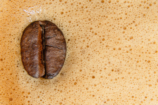 istock roasted coffee bean on coffee foam background with copy space 1186363084