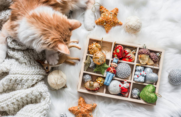 istock Red kitten and a box of christmas decorations on a fluffy carpet on a light background. Christmas background 1186366134