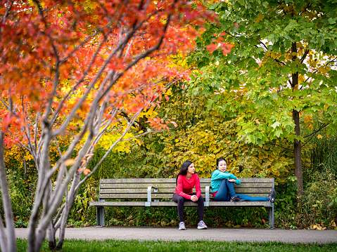 Millennial women exercising in the city park on the overcast morning in the fall.