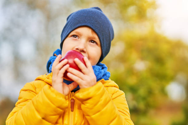 istock Happy child boy playing outside in autumn 1186367759
