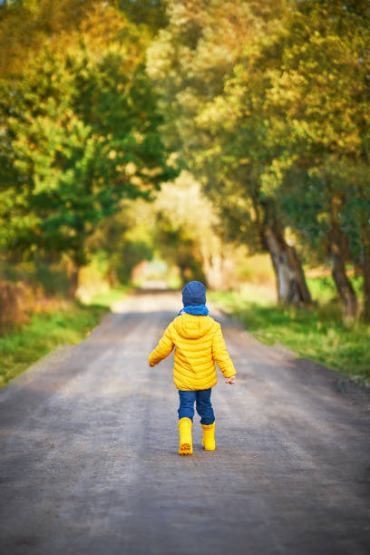 istock Happy child boy playing outside in autumn 1186367854