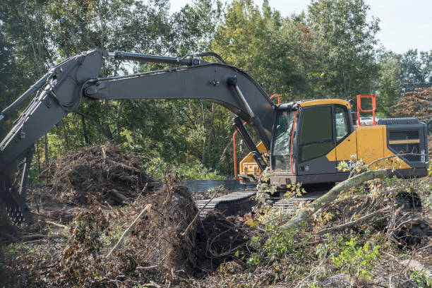 istock Construction machinery clearing brush and trees on a property prior to construction . 1186369735