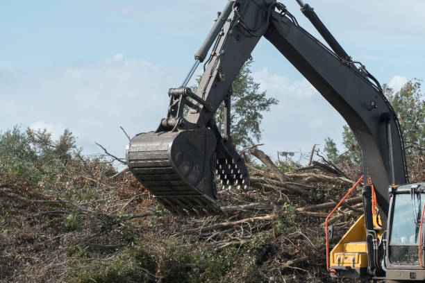 istock Construction machinery clearing brush and trees on a property prior to construction . 1186369770