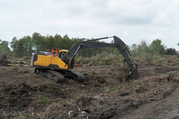 istock Construction machinery clearing brush and trees on a property prior to construction . 1186369837