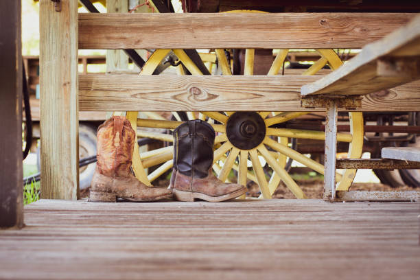 A fresh coat of oil dries on a pair of leather cowboy boots on a summer day.