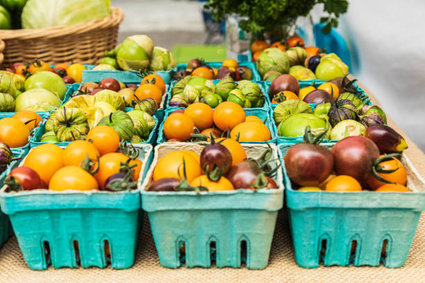 tomates de reliquia frescos a la venta en un mercado de agricultores - heirloom tomato tomato vegetable fruit fotografías e imágenes de stock