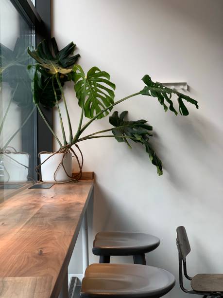 istock wooden tabletop and chairs in a coffee shop 1186373775