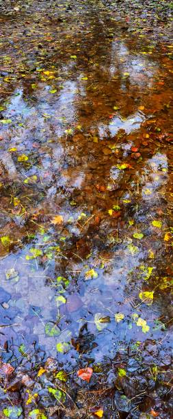 istock Park with Autumn colors 1186375275