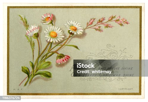 istock Victorian Christmas card with daisies, 1881 1186376724