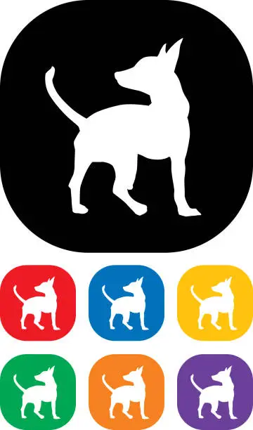 Vector illustration of Chihuahua Icon Set