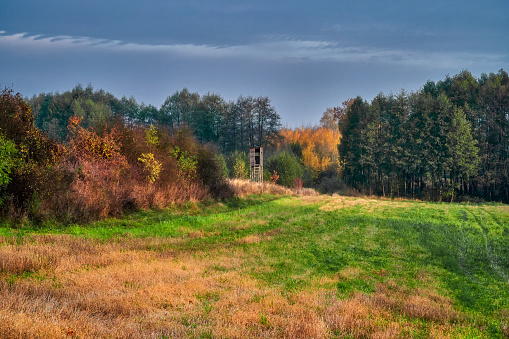 Poland, Autumn, around Buczyniec - hunting pulpit